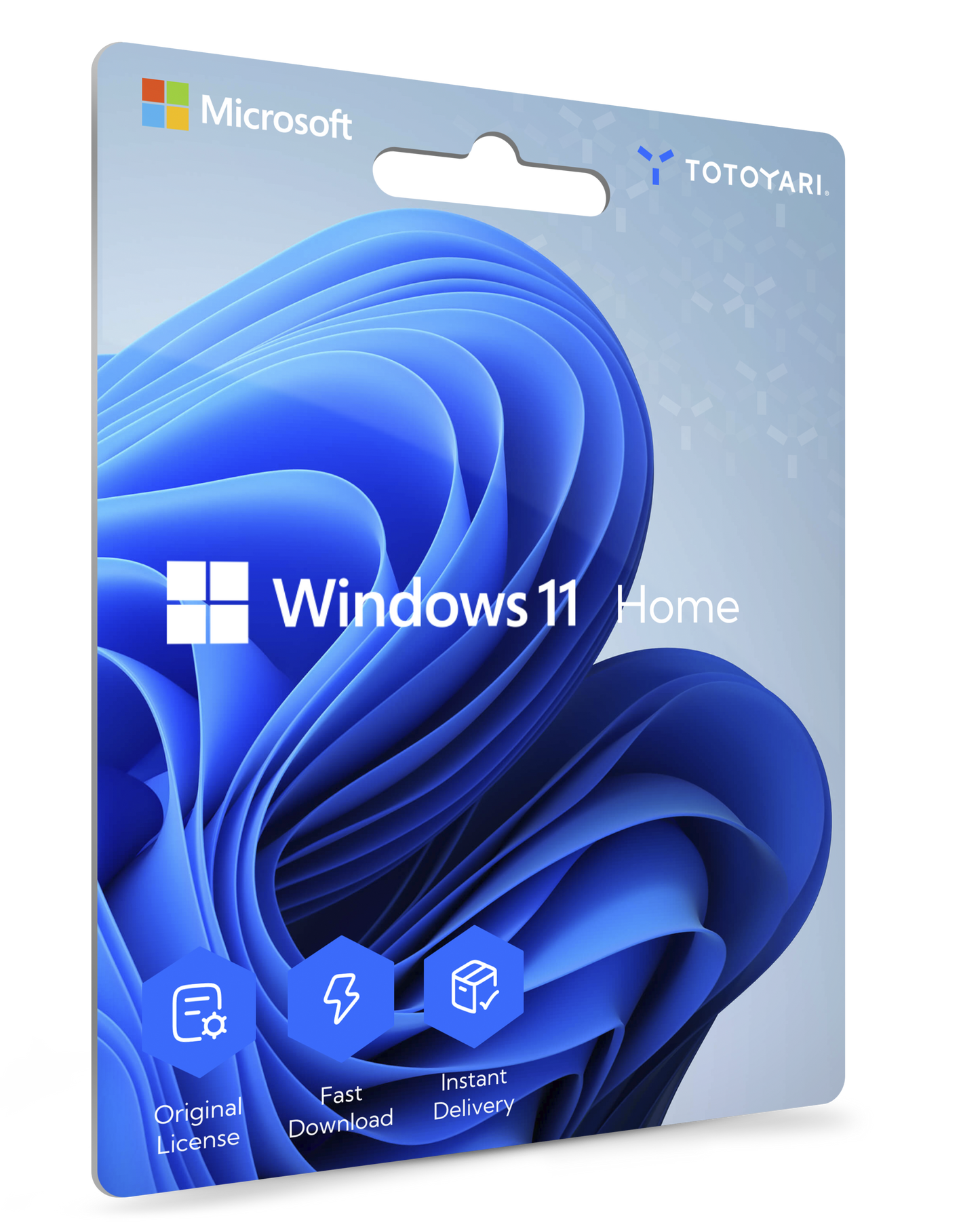 Windows 11 Home