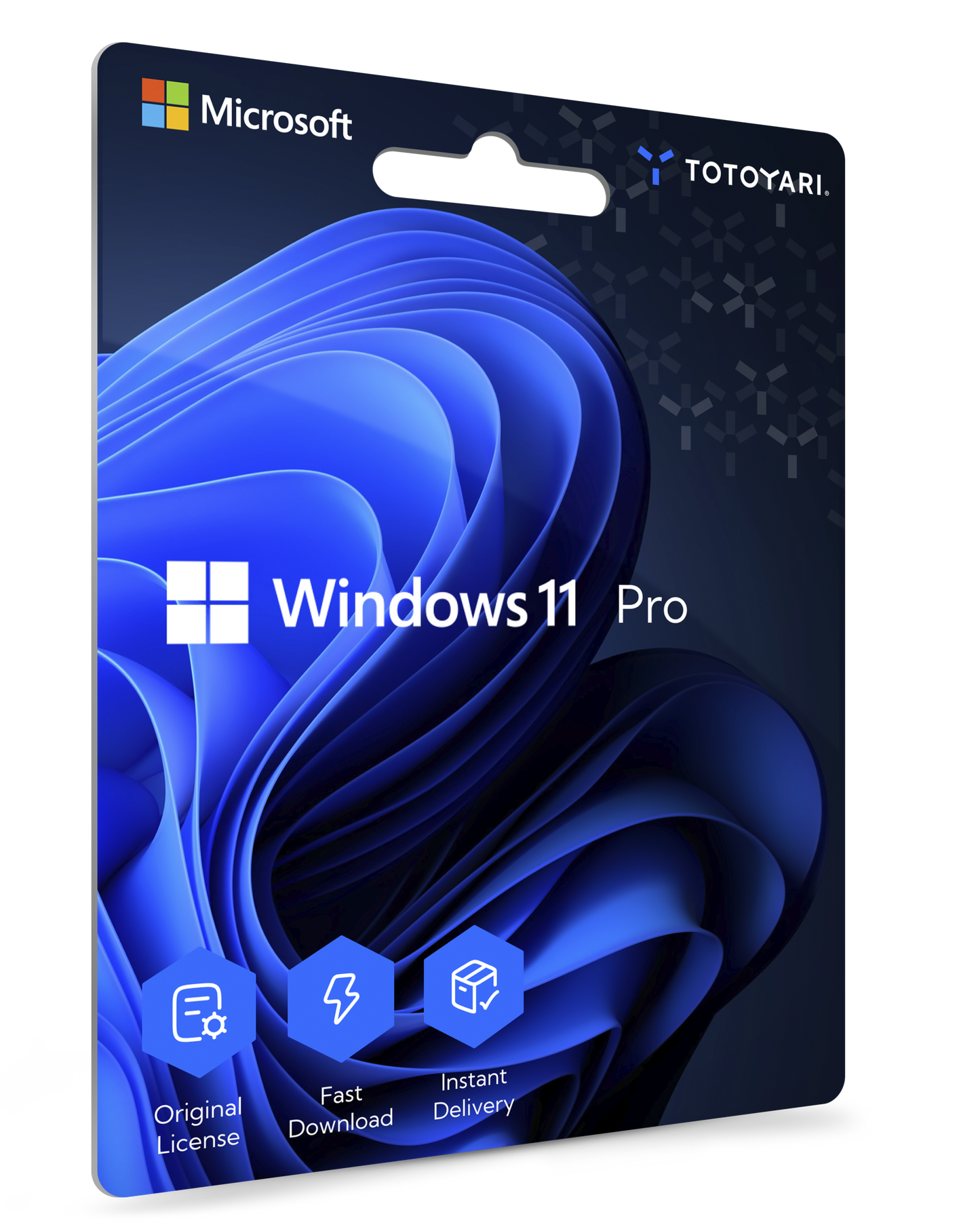 Windows 11 Pro